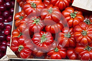 Red Tomato Background