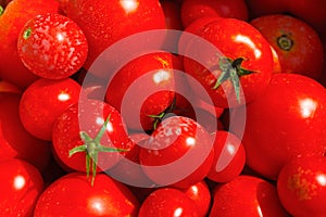 Red tomato background