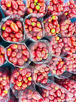 Red tomato background