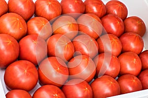 Red tomato