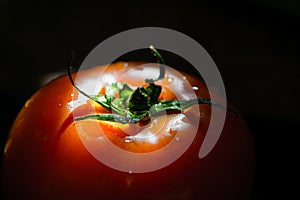 Red tomato on black background