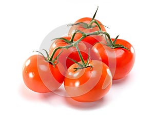 Red tomato branch close-up isolated on white background