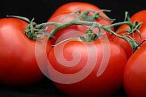 Red Tomato Closeup on Black