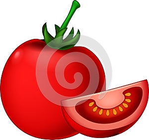 Red Tomato Fruit Vegetable Cartoon Vector Illustration Isolated Vegan Food