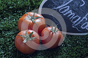 red tomato on grass in winter