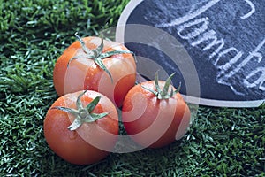 red tomato on grass in winter