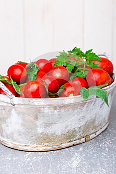 Red tomato in grey basket on grey background. Harvest. Full box of tomatoes.