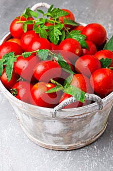 Red tomato in grey basket on grey background. Harvest. Full box of tomatoes. Close up.