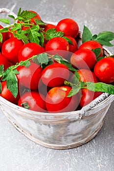 Red tomato in grey basket on grey background. Harvest. Full box of tomatoes. Close up.