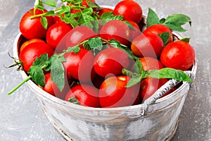 Red tomato in grey basket on grey background. Harvest. Full box of tomatoes. Close up.