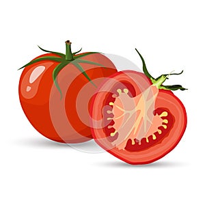 Red tomato and half tomatoes and slice with green leaves flat vector style