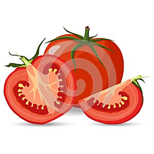 Red tomato and half tomatoes and slice with green leaves flat vector style