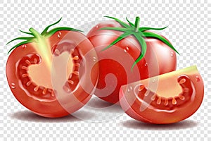 Red tomato and half tomatoes and slice with green leaves realistic vector