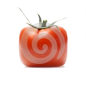Red Tomato isolated