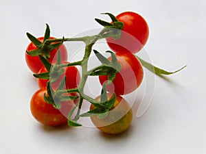 Red tomato isolated on white background.