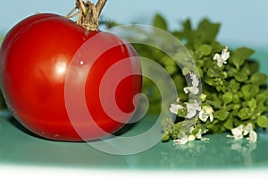 Red tomato next to fresh basil with white flower copper blue platon photo