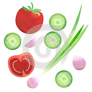Red tomato pieces, sliced cucumber, onion, fresh vegetables, set of ingredients for salad isolated, top view, flat icon