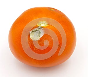 Red tomato with a rotten portion on a white background