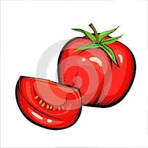 Red tomato whole and pieces, hand drawn vector illustration isolated.