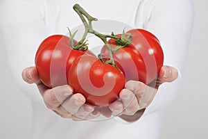 Red tomato in woman hands