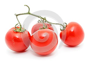 Red Tomatoes