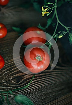 A red tomatoes