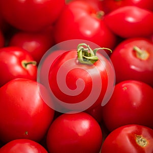 Red tomatoes