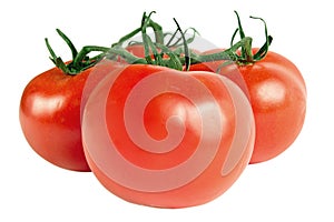 Red tomatoes