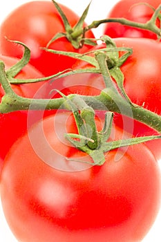 Red tomatoes