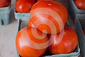 Red Tomatoes