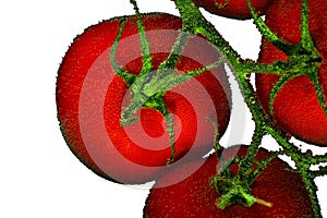 Red tomatoes with air bubble on a surface on a white background