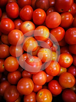 Red tomatoes background. Group of tomatoes.