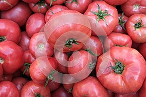 Red tomatoes background. Group of tomatoes