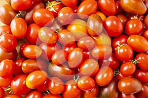 Red tomatoes background. Top view. Fresh organic tomatoes as background, closeup.