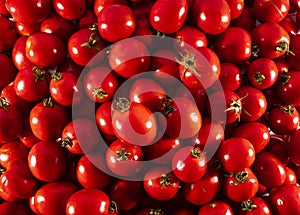 Red tomatoes background. Top view. Fresh organic tomatoes as background, closeup. Group of fresh tomatoes