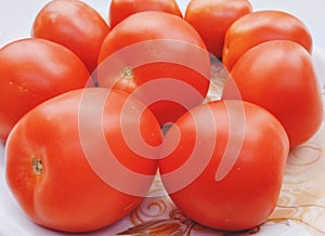 Red tomatoes fruit tomato vegetable tomat timatar pomidor tomate closeup view image photo