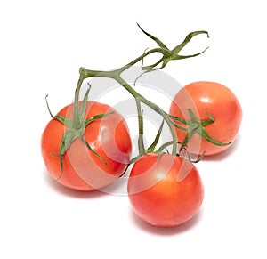 Red tomatoes on a green branch