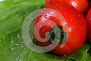 Red Tomatoes on Green Cabbage