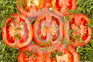 Red tomatoes with green dill under