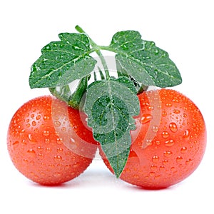 Red Tomatoes with Green Leaf and Water Drops Isolated on White Background