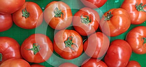 red tomatoes on green platform.