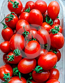 Red tomatoes with green roots