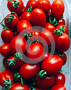 Red tomatoes with green roots