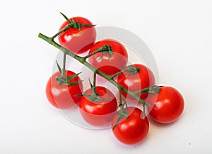 Red tomatoes on a green twig on white background