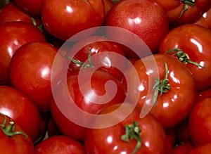 Red tomatoes with green twigs in a heap background