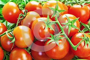 Red tomatoes with greens