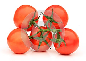 Red tomatoes isolated