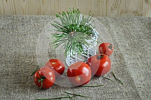 Red tomatoes and pine branch point