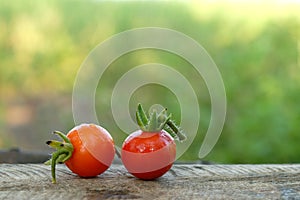 Red tomatoes with rain droplets