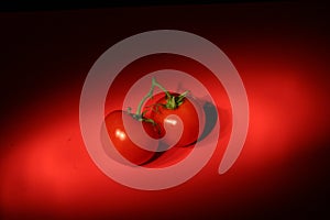 Red Tomatoes on Red Background